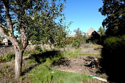 potager
